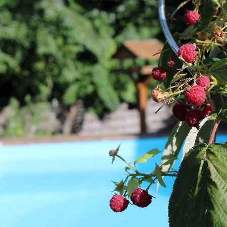 Le Chat Botte - Vankantiehuis In Languedoc-Roussillion Bed & Breakfast Routier Eksteriør bilde